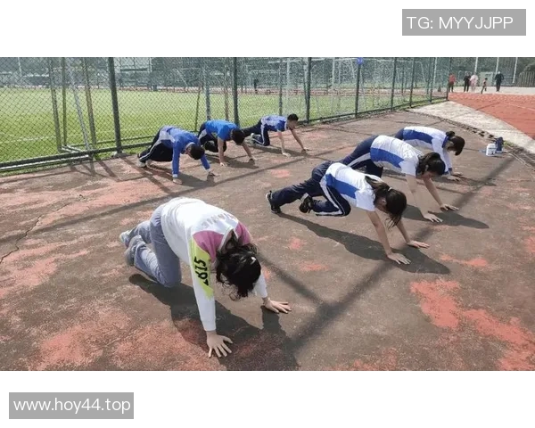 体能训练流程全公开助你科学掌握高效健身方法打造健康强韧体魄